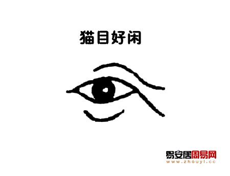 貓眼面相|面相入门